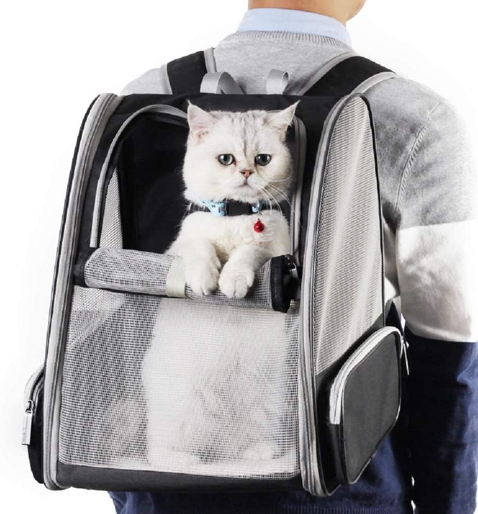 Bubble Backpack Pet Carrier – Breathable PVC Mesh for Cats & Dogs up to 15lbs (Grey) - Pawdorable.store