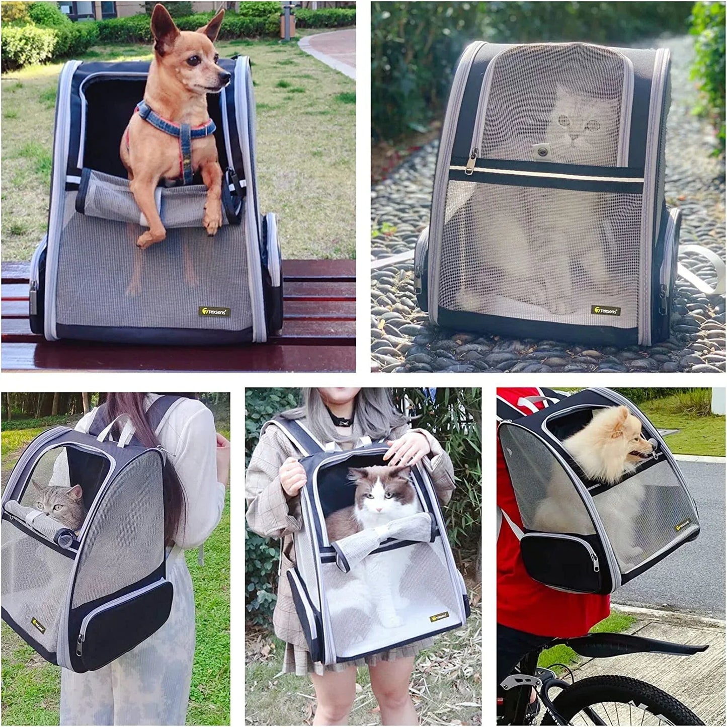 Bubble Backpack Pet Carrier – Breathable PVC Mesh for Cats & Dogs up to 15lbs (Grey) - Pawdorable.store