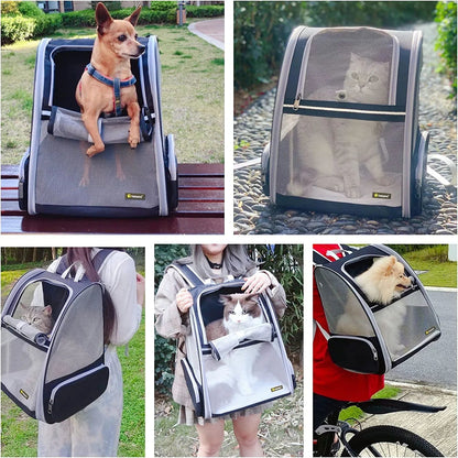 Bubble Backpack Pet Carrier – Breathable PVC Mesh for Cats & Dogs up to 15lbs (Grey) - Pawdorable.store