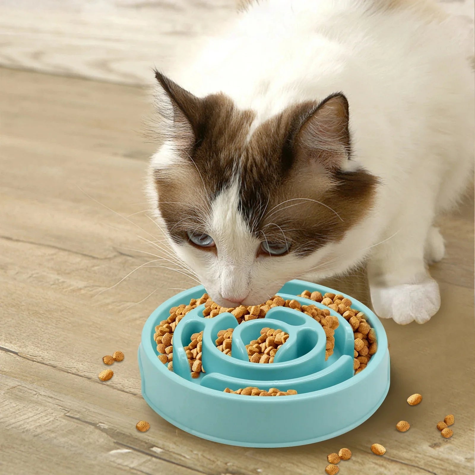 Dog Slow Feeder Bowl – Non - Slip Anti - Gulping Maze Bowl for All Dog Sizes - Pawdorable.store