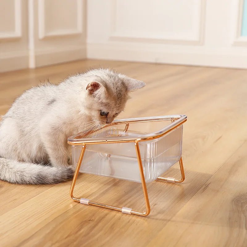 Elevated Double Pet Bowl with Gold Stand – Transparent Tilted Feeder for Cats & Dogs - Pawdorable.store