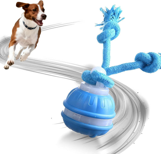 USB Rechargeable Interactive Dog Cat Ball Toy with Moving Tail, Auto-Rolling Chase Buddy (Blue) - Pawdorable.store