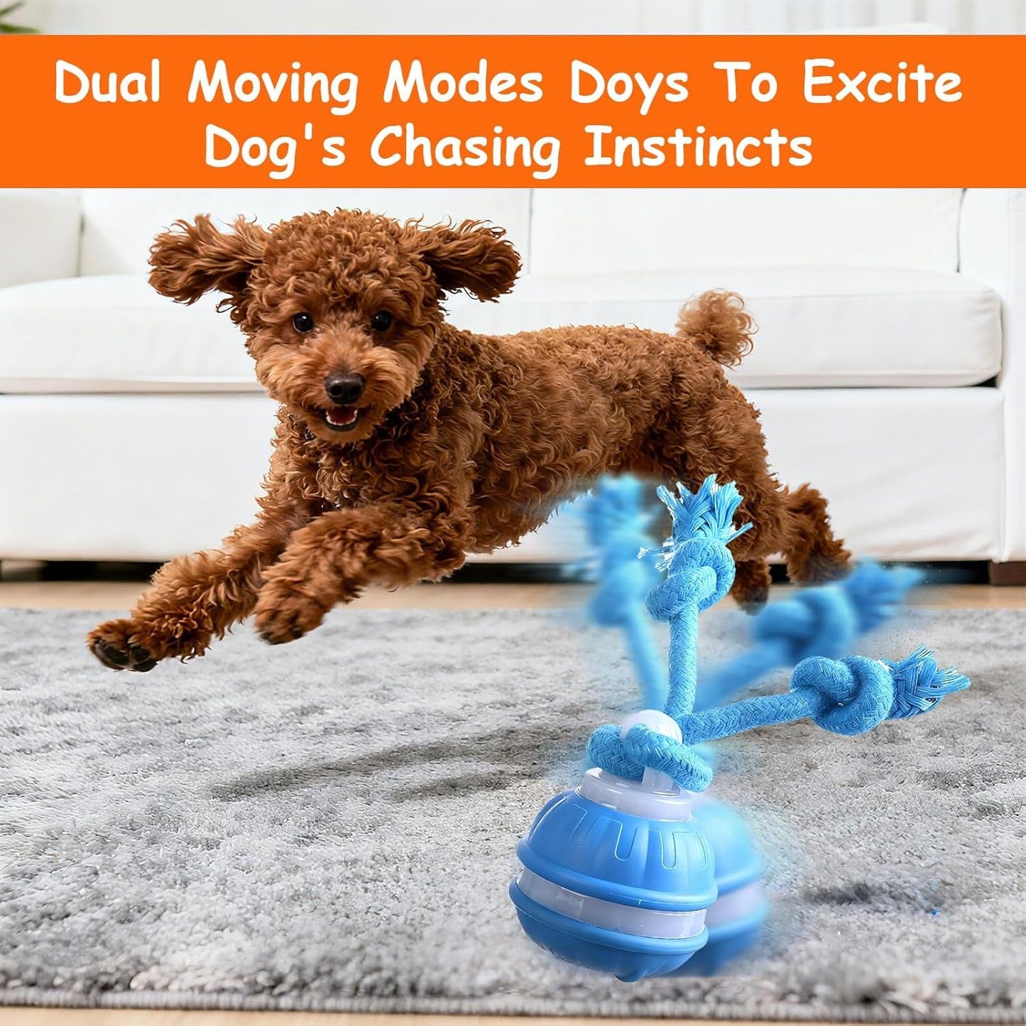 USB Rechargeable Interactive Dog Cat Ball Toy with Moving Tail, Auto-Rolling Chase Buddy (Blue) - Pawdorable.store