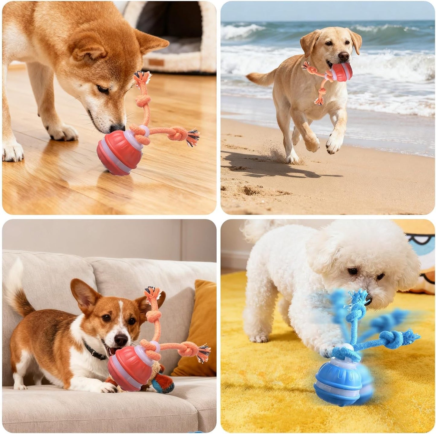 USB Rechargeable Interactive Dog Cat Ball Toy with Moving Tail, Auto-Rolling Chase Buddy (Blue) - Pawdorable.store