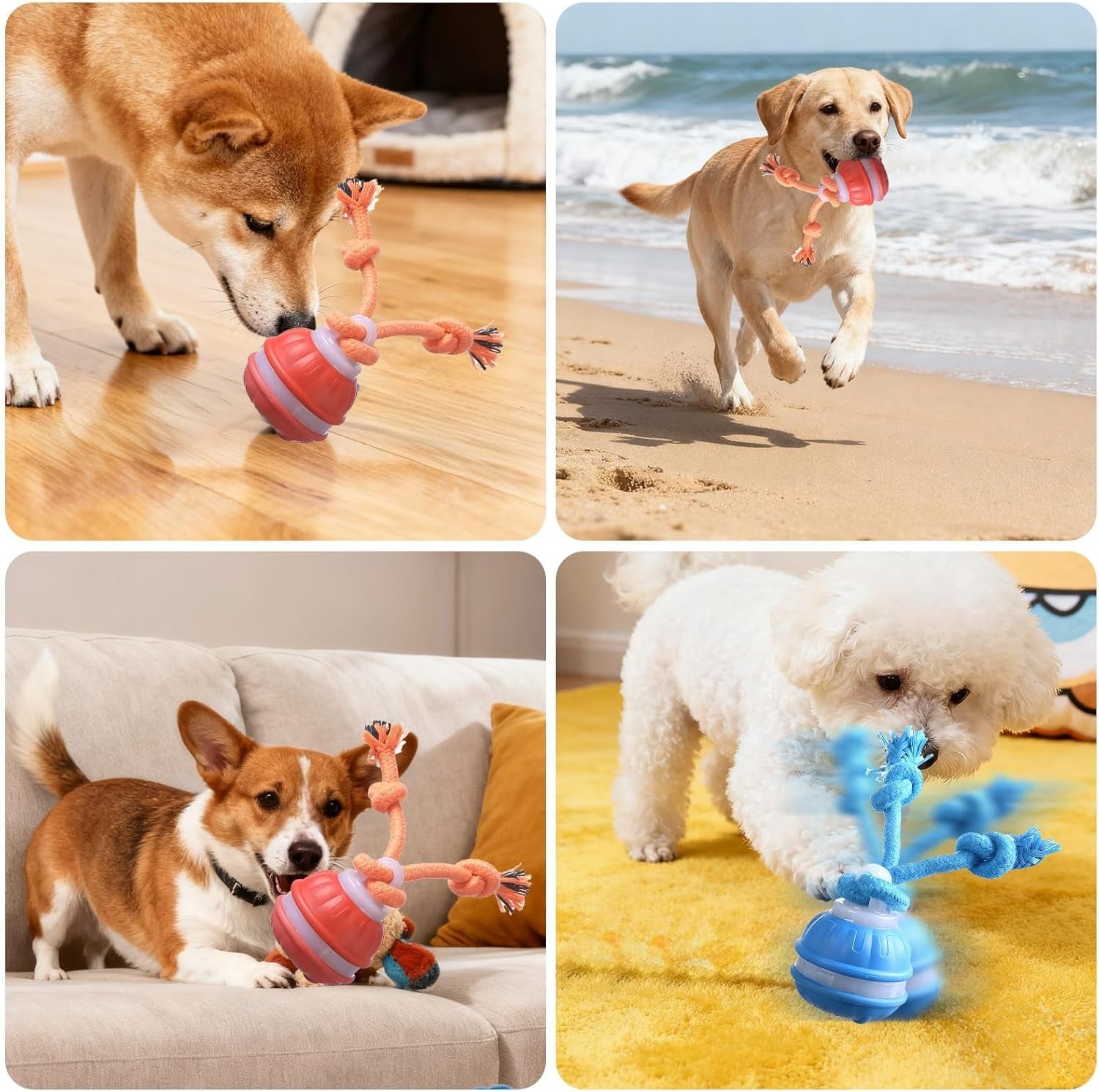 USB Rechargeable Interactive Dog Cat Ball Toy with Moving Tail, Auto-Rolling Chase Buddy (Blue) - Pawdorable.store