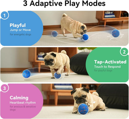 Interactive Wicked Ball AIR Neo - Self-Moving Dog Toy with Heartbeat Calming, ETPU, IPX7 - Blue - Pawdorable.store