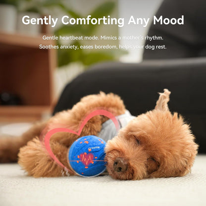 Interactive Wicked Ball AIR Neo - Self-Moving Dog Toy with Heartbeat Calming, ETPU, IPX7 - Blue - Pawdorable.store