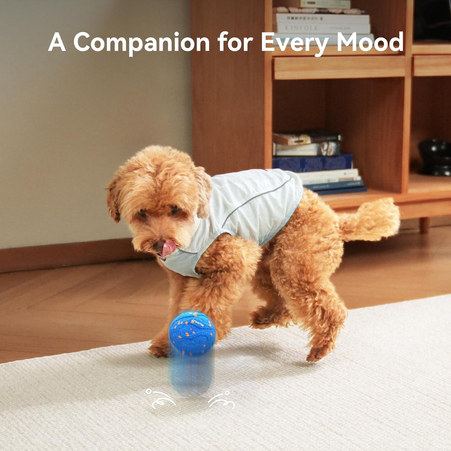 Interactive Wicked Ball AIR Neo - Self-Moving Dog Toy with Heartbeat Calming, ETPU, IPX7 - Blue - Pawdorable.store