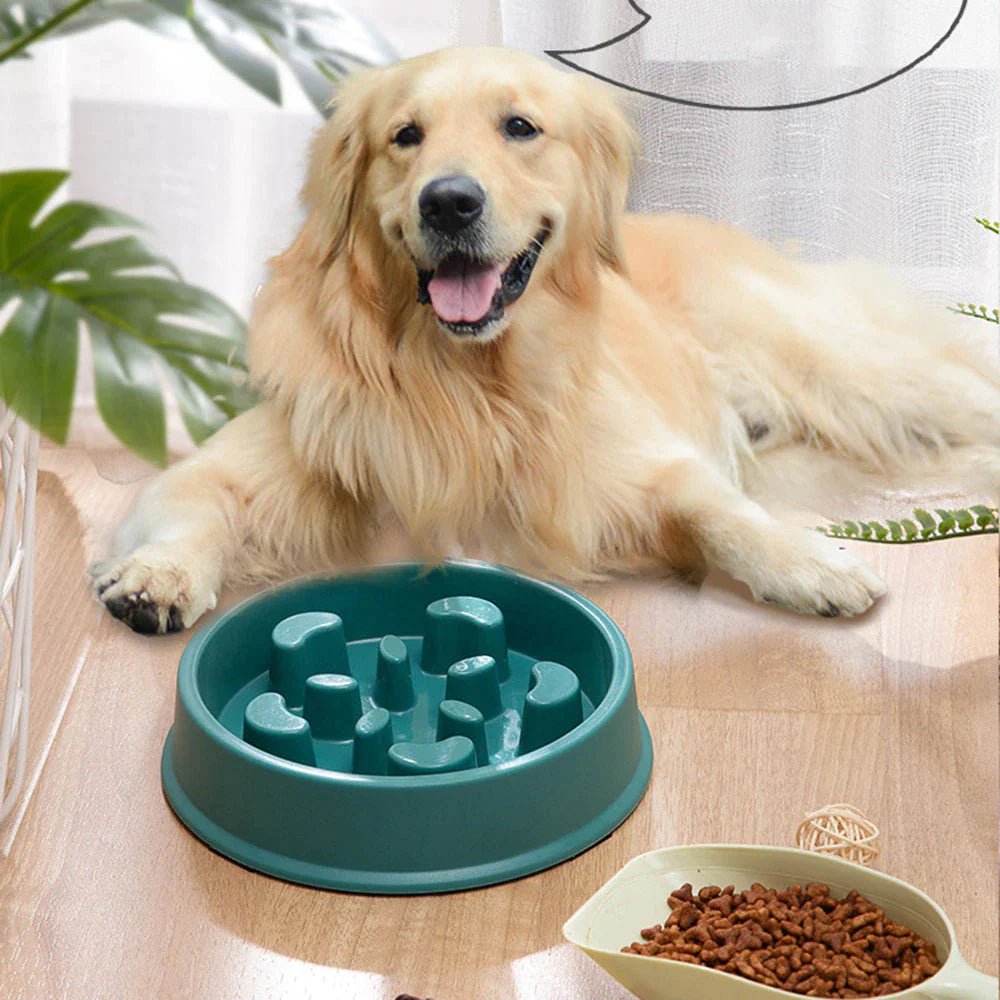 Pet Slow Feeder Bowl – Choke - Proof Non - Slip Bowl for Small Dogs & Cats - Pawdorable.store