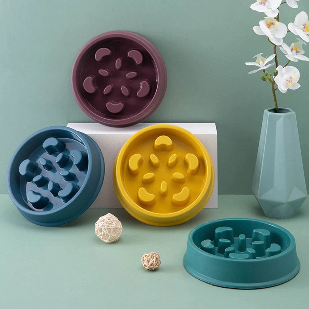 Pet Slow Feeder Bowl – Choke - Proof Non - Slip Bowl for Small Dogs & Cats - Pawdorable.store