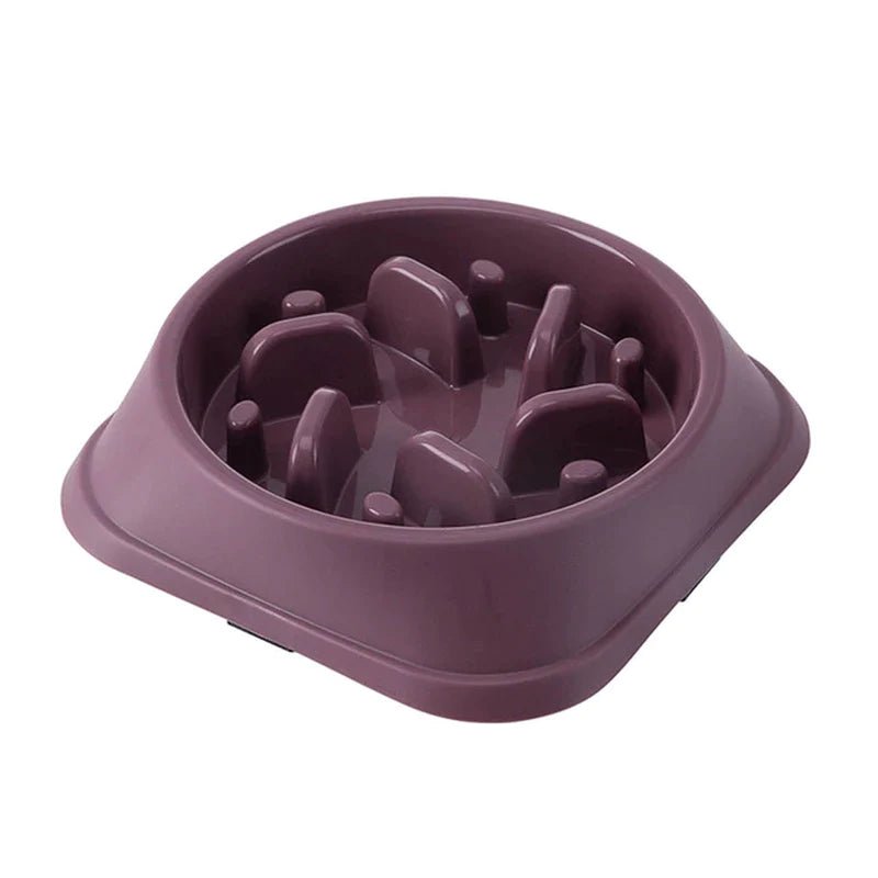Pet Slow Feeder Bowl – Choke - Proof Non - Slip Bowl for Small Dogs & Cats - Pawdorable.store
