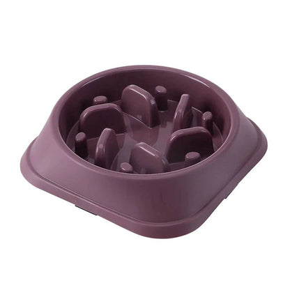 Pet Slow Feeder Bowl – Choke - Proof Non - Slip Bowl for Small Dogs & Cats - Pawdorable.store