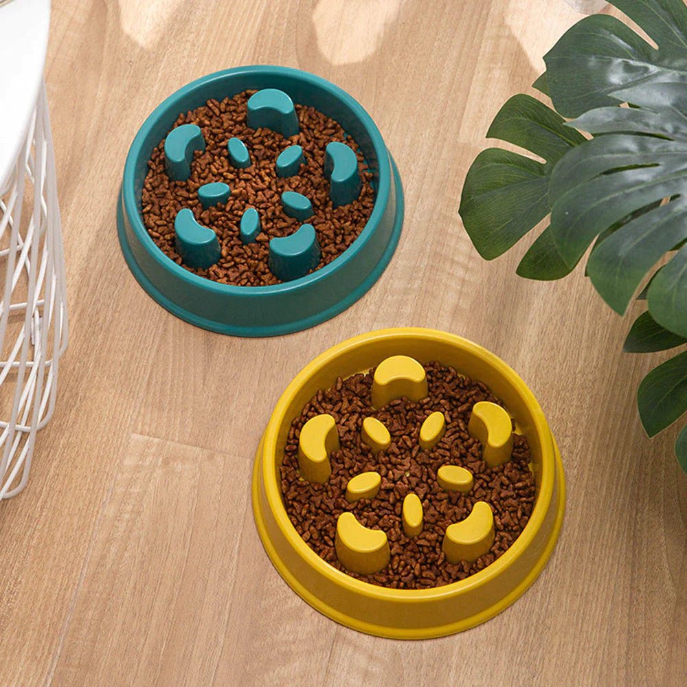 Pet Slow Feeder Bowl – Choke - Proof Non - Slip Bowl for Small Dogs & Cats - Pawdorable.store