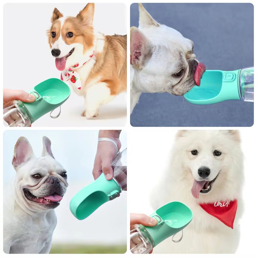 Portable Dog Water Bottle – Leakproof Walking Bottle for Dogs & Cats - Pawdorable.store